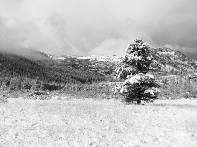 Photo of snowy field flanked by tree-covered mountains