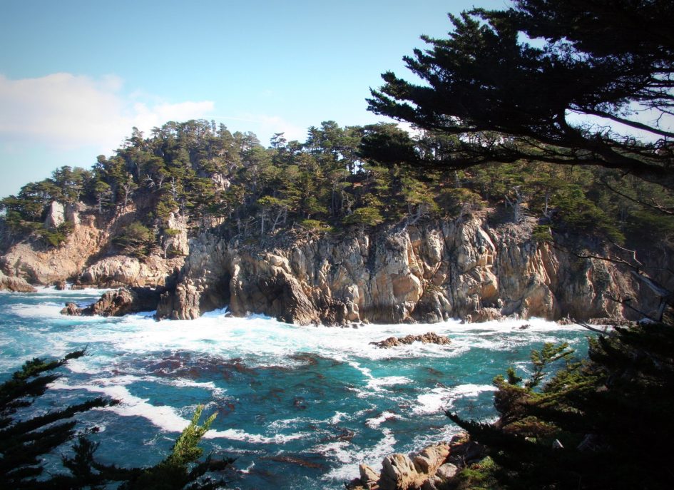 Photo of tree-lined rocky coast at Monterey