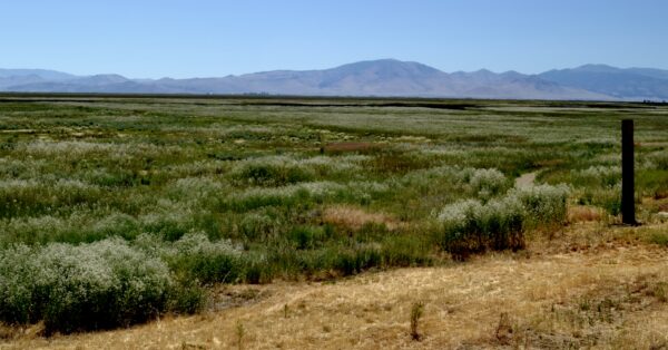 Eastern view across Sierra Valley with the Feather River in the background